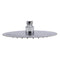 ALFI  Solid Brushed Stainless Steel 8" Round Ultra Thin Rain Shower Head RAIN8R-BSS