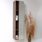 Fresca Vista 36" Walnut Modern Bathroom Vanity with Medicine Cabinet FVN8090GW